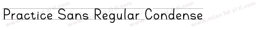 Practice Sans Regular Condensed字体转换